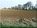 Farmland north of the A420, near Marshfield