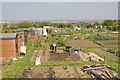 Allotments north of Horsea Lane