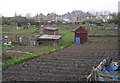 Allotments - Westfield Lane