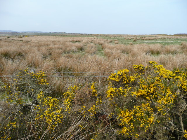 Low moorland north of the A836