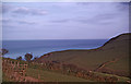 Near Carrickowel Point, Cornwall taken 1964