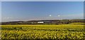 The still vacant Prologis shed sticks out of the Dearne Valley on a warm Spring evening