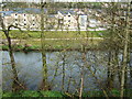 River Derwent  and houses