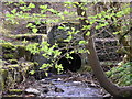 The Culvert on the Buckholm Burn