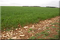 SP1109 : Winter cereals growing on the former site of RAF Bibury by Roger Davies