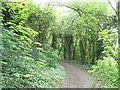 Footpath alongside Hilsea Lines between Peronne and London Road