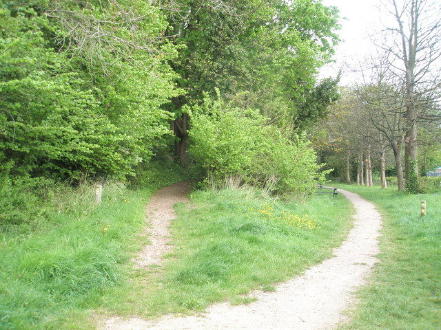 Path junction at Hilsea Lines