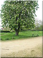 Picnic bench at Bastion 3