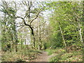 Path running adjacent to the old Station