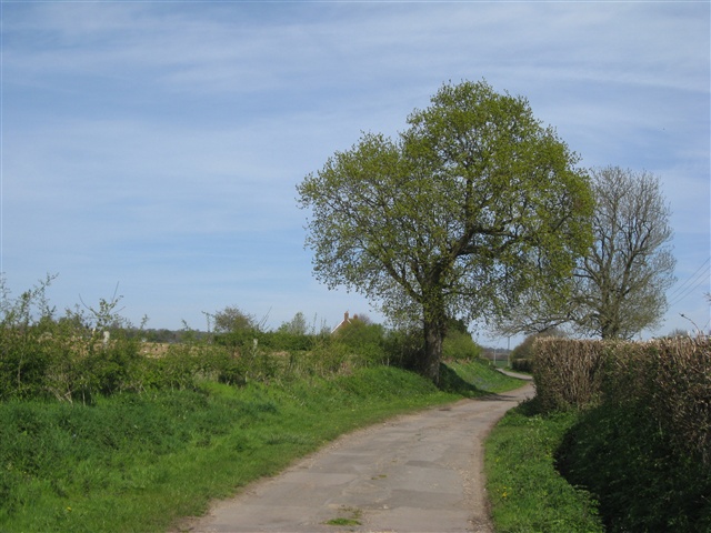 Rotherbridge Lane