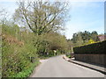 Severals Road, Bepton Common