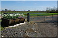 Field entrance at Sandhurst