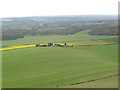 Long field at Little Allington