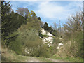 Overgrown quarry