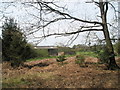 Outbuildings at Tyeland Farm