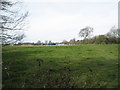 Field at Minsted Farm