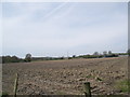 Ploughed field at Minsted Farm