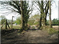 Footpath linking Minsted to the sandpit