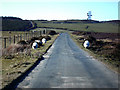 SC2578 : Road to Glen Maye by Chris Gunns