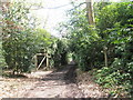 Which way to go at Fitzhall Plantation?