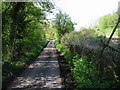 Small lane leading to Whitehall Farm