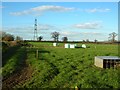 Field for newborn lambs