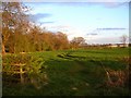 Farmland next to the Stamford Bridge turnoff