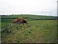 Crankey Townland