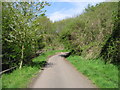 View along Stour Valley walk