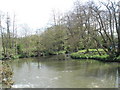 River Rother at Terwick Mill