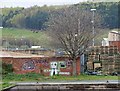 Tow path graffiti