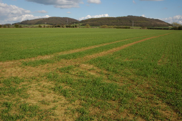 Winter Cereals and Dumbleton Hill