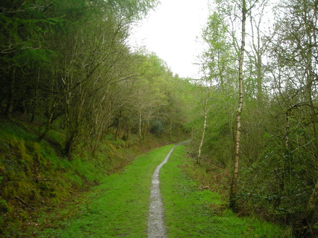 Lower Forest near Lampeter