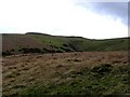 Beck above Potts Gill Farm