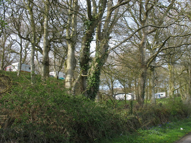 A woodland caravan park at Tre-gof