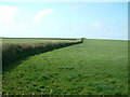 Field with wide hedges