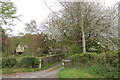 Spring blossom at Cwm Adam