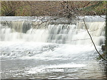 NU1228 : Water flows over dam on the Waren Burn at Twizell Mill by Alfie Tait