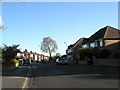 Looking southwards down Lower Drayton Lane