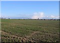 Farmland & the roof tops of Marnel Park