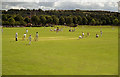 Cricket at Deighton, near Huddersfield