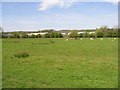 View across field from the banks of the Great Stour