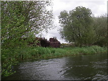 SZ1399 : Shooting Hide beside the river Avon by Barry Deakin