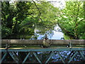 View from the bridge over the Great Stour at Horton