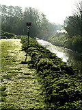 TA1828 : Early Morning Dew next to Burstwick Drain by Andy Beecroft