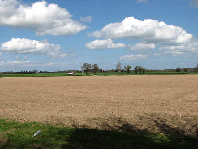 View north across field