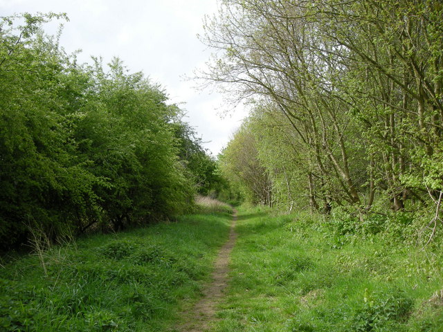 Brownsover -Great Central Walk © Ian Rob cc-by-sa/2.0 :: Geograph ...