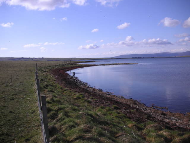Loch shore near the Ring of Brogar