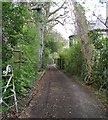 Footpath - Oakwood Terrace, Grove Lane