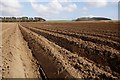 Ploughed Field by Star Moss